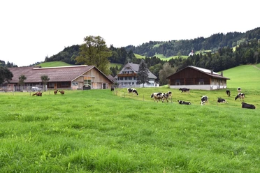 Blick auf den Hof Oberlindebüel
