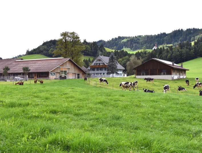 Blick auf den Hof Oberlindebüel