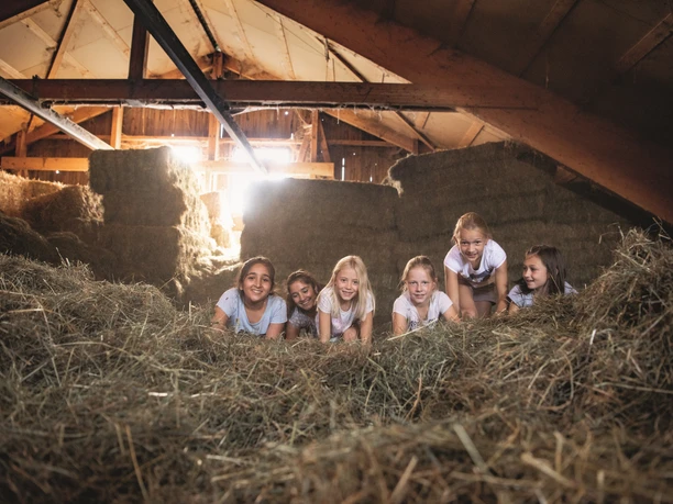 Spiel & Spass im Heu