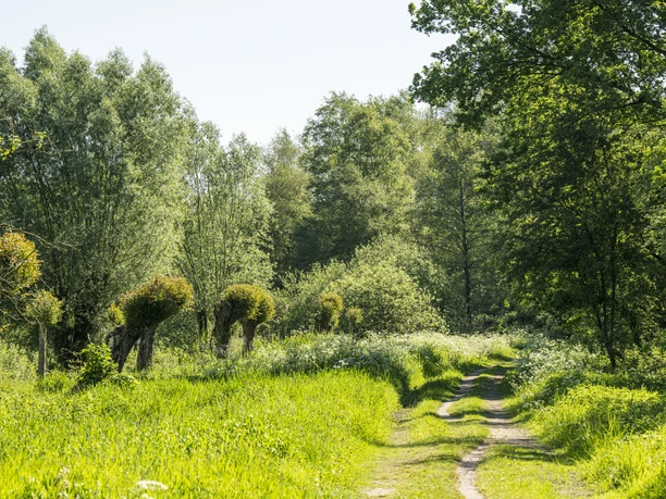 Untere Seeveniederung Untere Seeveniederung