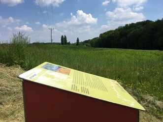 Stele vom Böckstiegel-Pfad Ein Aussichtspunkt mit Infotafel über saftige Wiesen und Wälder unter einem blauen Himmel mit Wolken.