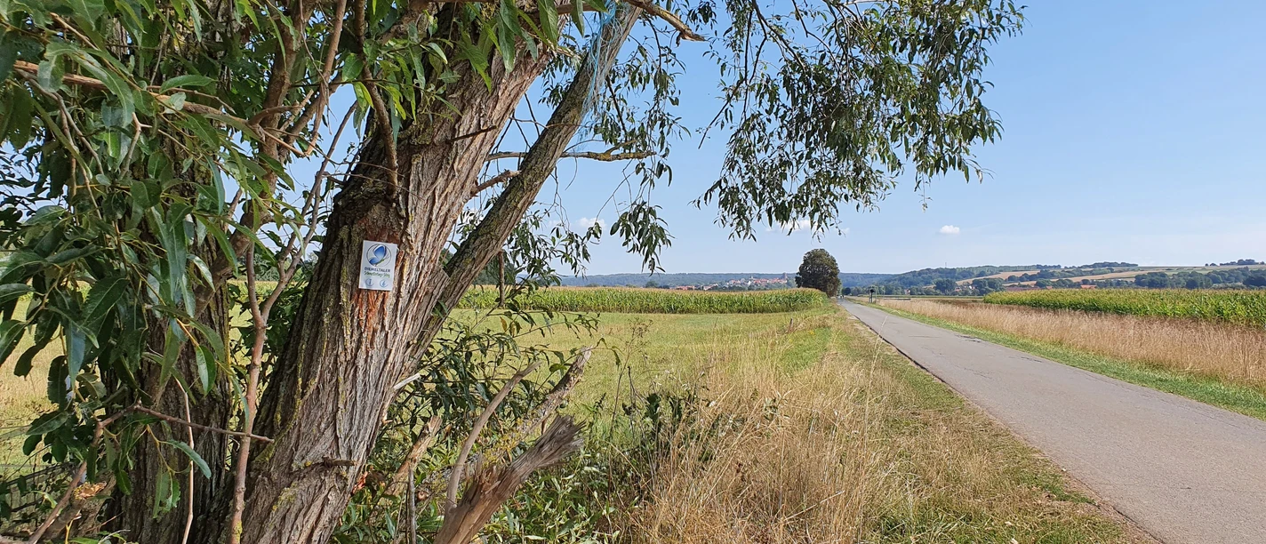 Diemeltaler Schmetterlings-Steig