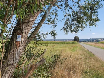 Diemeltaler Schmetterlings-Steig