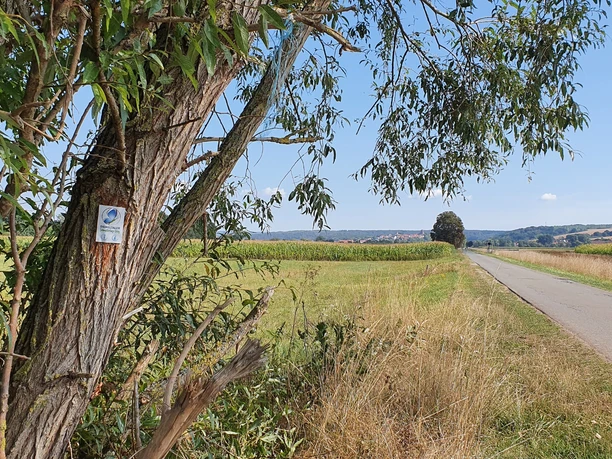 Diemeltaler Schmetterlings-Steig