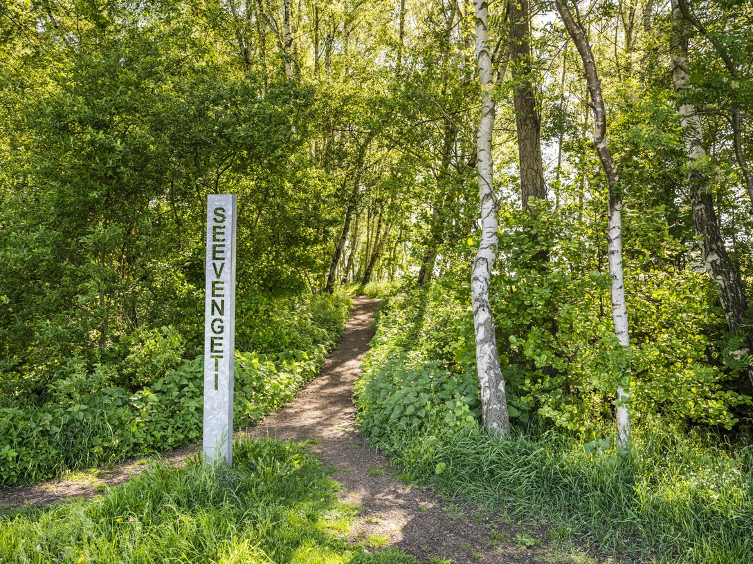 Seevengeti SeevengetiSeevengetiSeevengetiSeevengeti