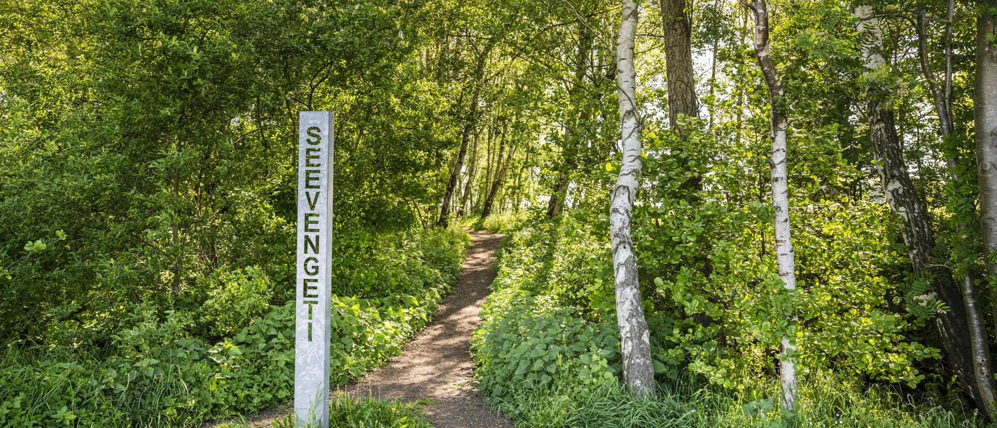 Seevengeti Seevengeti