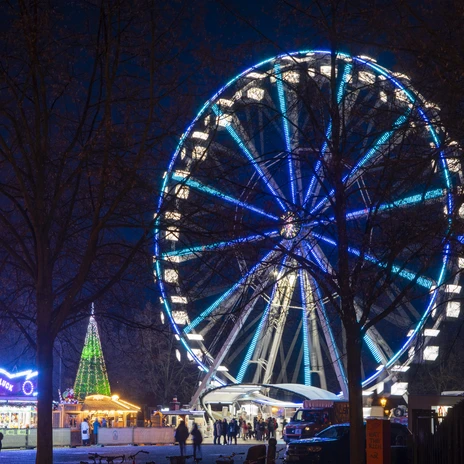 Blauer Lichterglanz in Potsdam