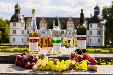 Paderborn Wine Village | Neuhaus Castle Weingläser und Flaschen vor dem prächtigen Neuhäuser Schloss, umgeben von frischen Trauben.