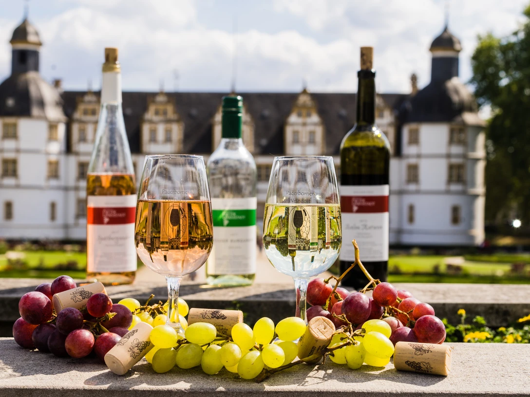 Wein vor dem Neuhäuser Schloss.jpg Weingläser und Flaschen vor dem prächtigen Neuhäuser Schloss, umgeben von frischen Trauben.