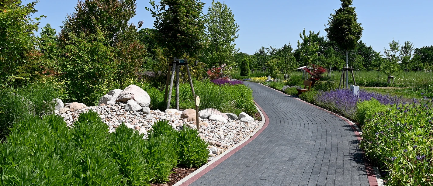 Opa Ernys Garten.jpg Anpflanzungen Opa Ernys Garten