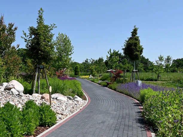 Opa Ernys Garten.jpg Anpflanzungen Opa Ernys Garten