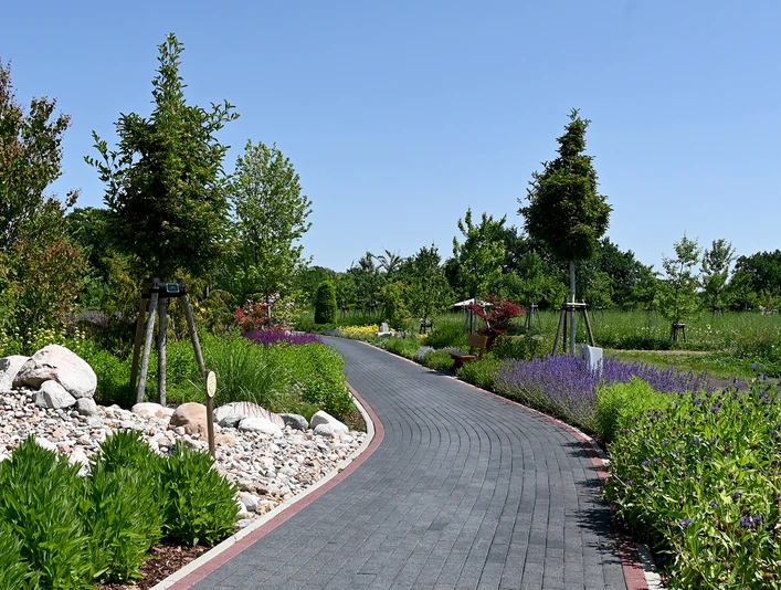 Opa Ernys Garten.jpg Anpflanzungen Opa Ernys Garten