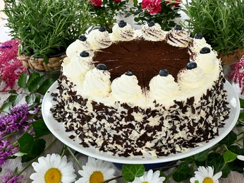 Torte im Wintergartencafé Opa Ernys Garten.jpg Torte im Wintergartencafé Opa Ernys Garten