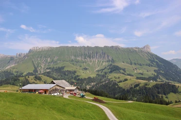Schottenhof Lochsitli