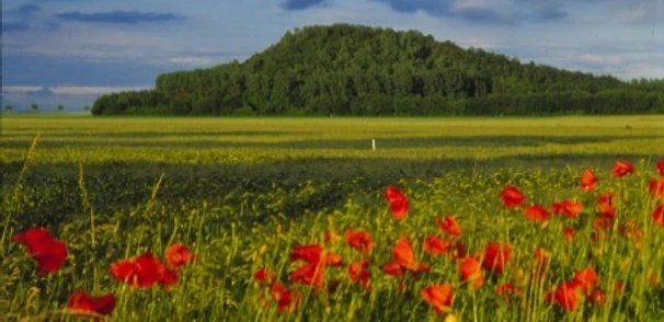 Seilbahnberg Lengede