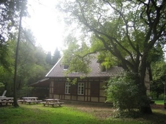 Grünes Klassenzimmer Meerdorfer Holz