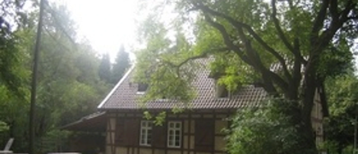 Grünes Klassenzimmer Meerdorfer Holz
