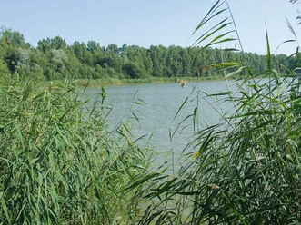 Lengeder Teiche