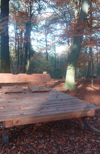 Walderlebnispfad Zweidorfer Holz