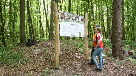 An der Alten Burg Warberg