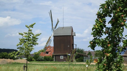 Die Bockwindmühle in Dettum