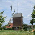 Die Bockwindmühle in Dettum