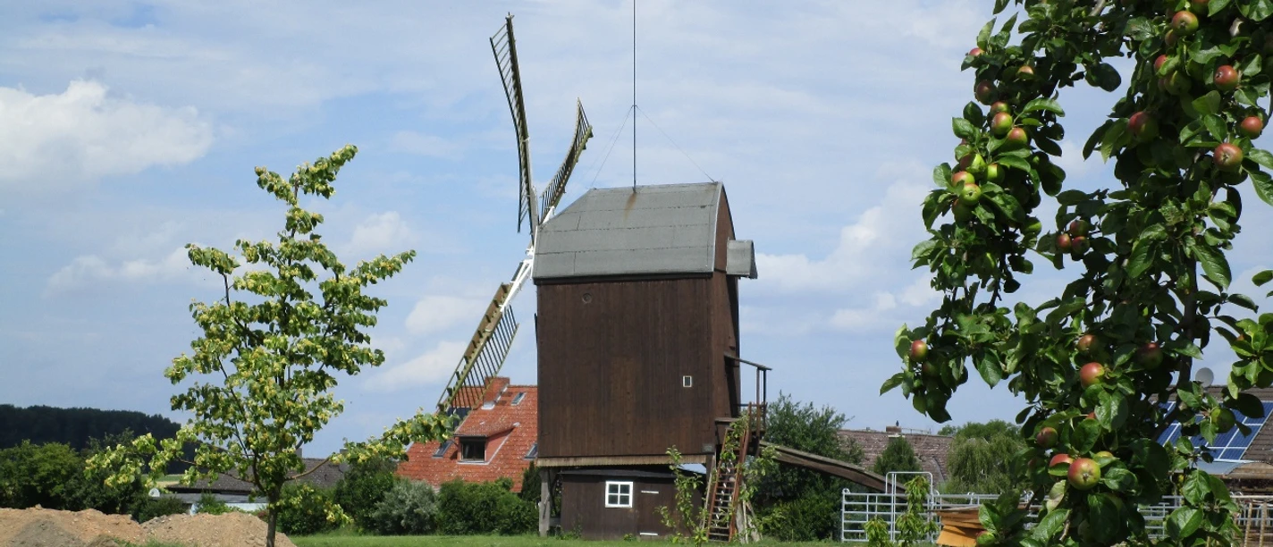 Die Bockwindmühle in Dettum