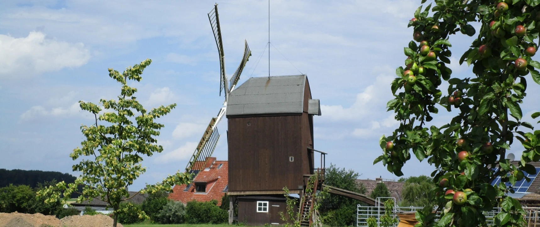 Die Bockwindmühle in Dettum