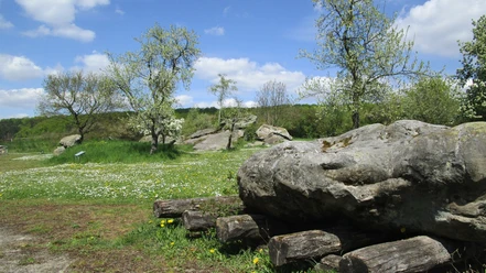 Großsteingrab Bockshornklippe