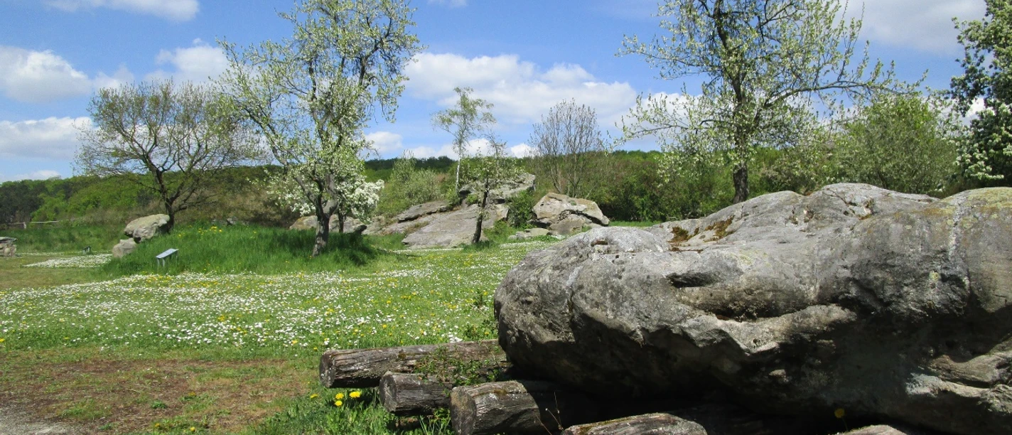Großsteingrab Bockshornklippe
