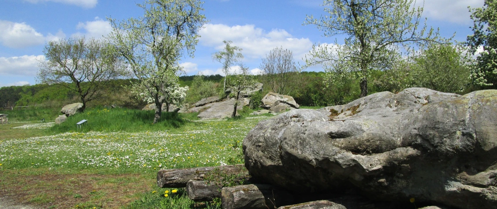 Großsteingrab Bockshornklippe