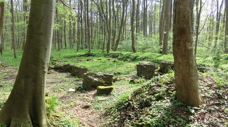 Elmsburg