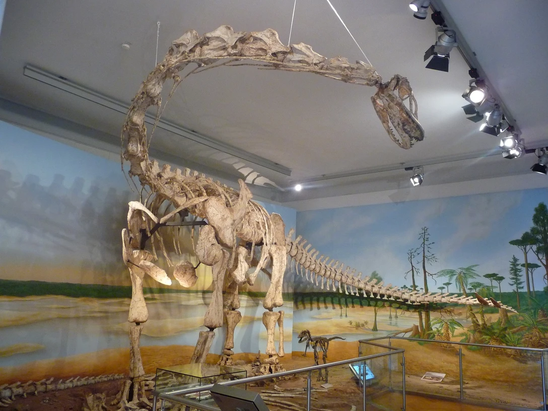 Staaliches Naturhistorisches Museum Braunschweig