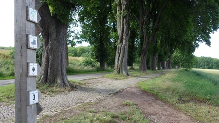 Der Singplatzweg