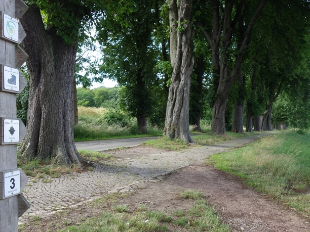 Der Singplatzweg
