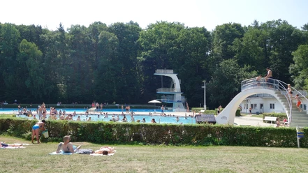 Waldbad Birkerteich