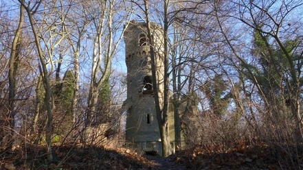 Turmruine Harbke