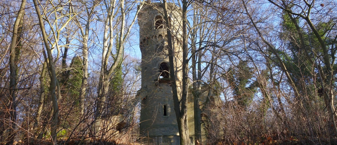 Turmruine Harbke