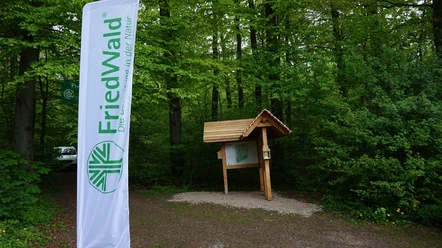 Info-Tafel Friedwald
