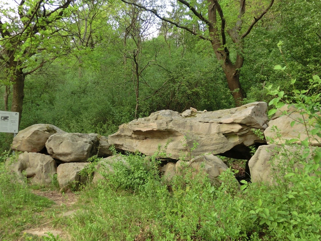 Großsteingrab am Dorm
