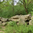 Großsteingrab am Dorm