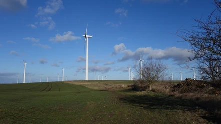 Bullenberg