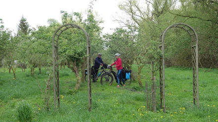 Elfenwiese Brumby