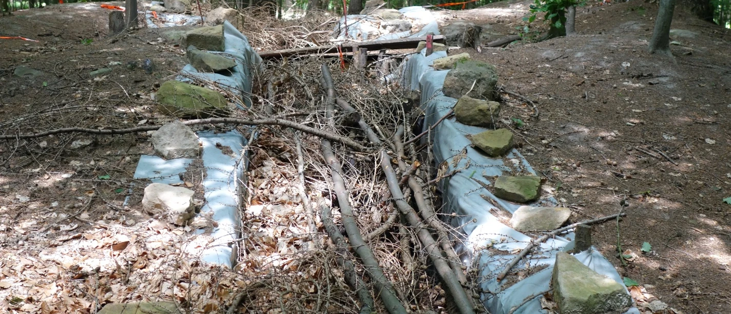 Steinkiste und Großsteingrab