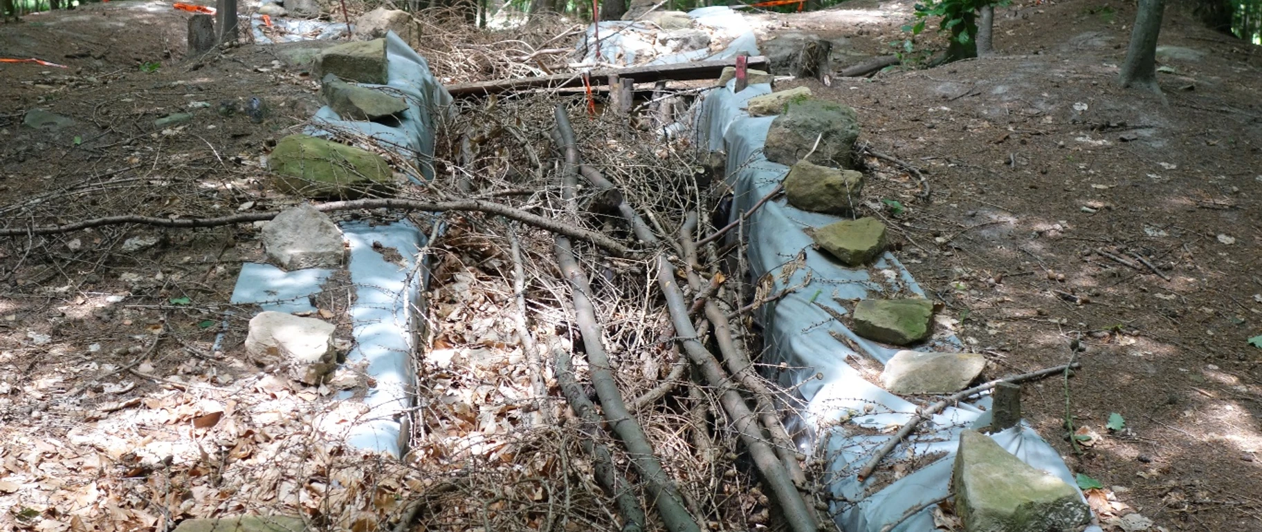 Steinkiste und Großsteingrab