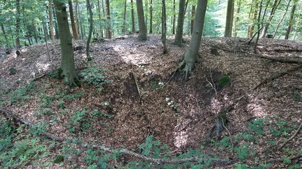 Pingen