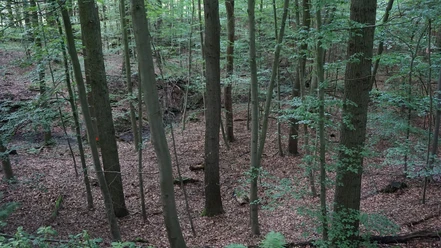 Teufelsgrund