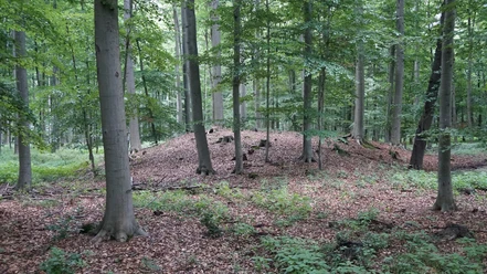 Großgrabhügel