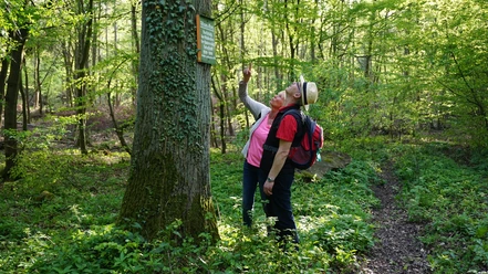 „Adam und Eva“ - Duellplatz der Studenten