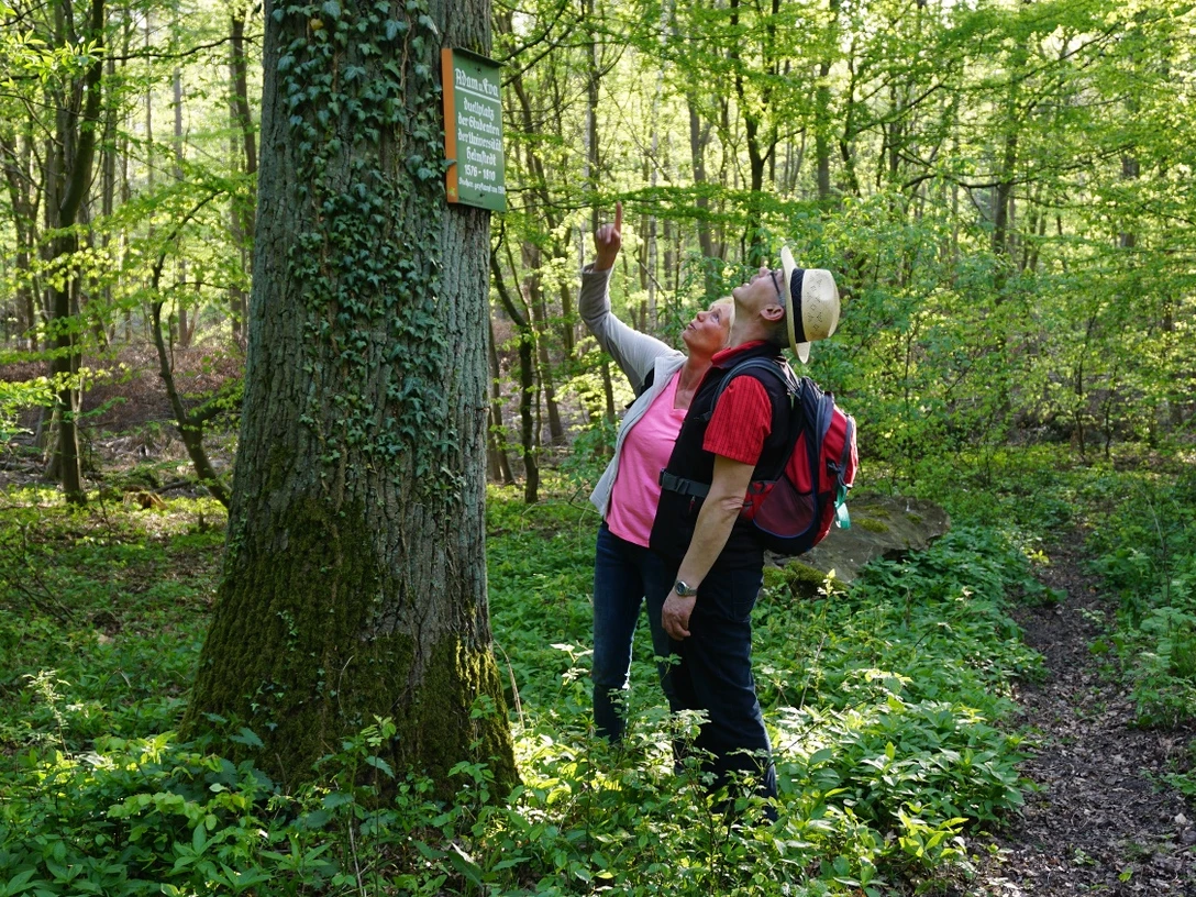 „Adam und Eva“ - Duellplatz der Studenten